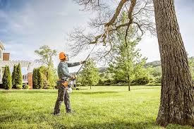 Best Weed Control  in Manchaca, TX