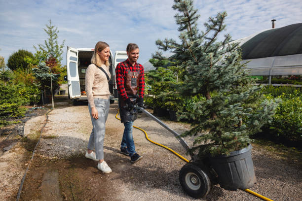 Best Organic Lawn Care Solutions  in Manchaca, TX
